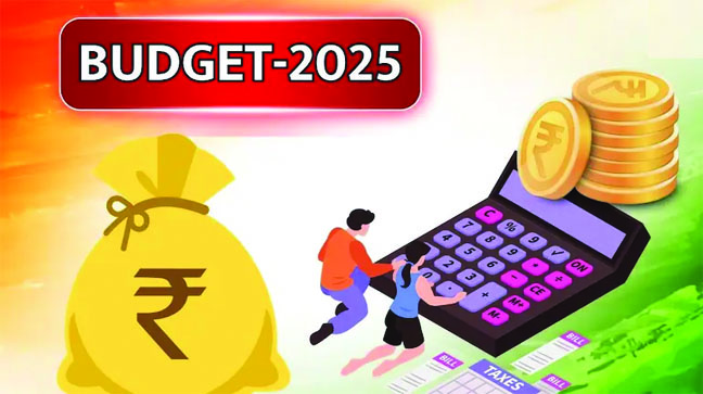 Budget-2025 copy