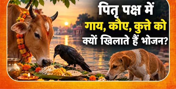 230626
